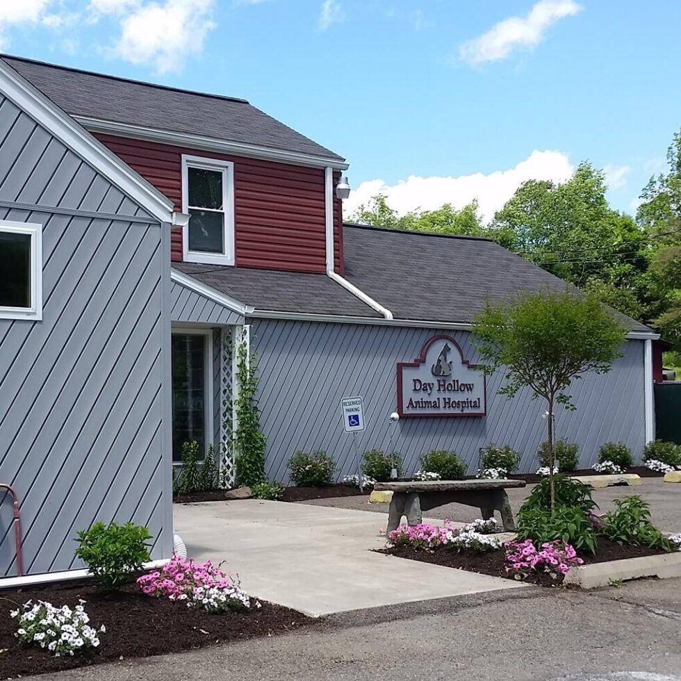 About Us | Day Hollow Animal Hospital