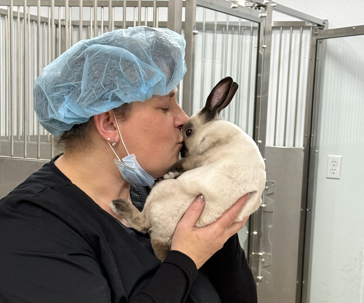 aboutus-dayhollowanimalhospital veterinary team member kissing a bunny