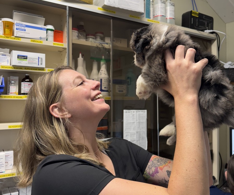 aboutus-dayhollowanimalhospital Girl holding up a cat with smile