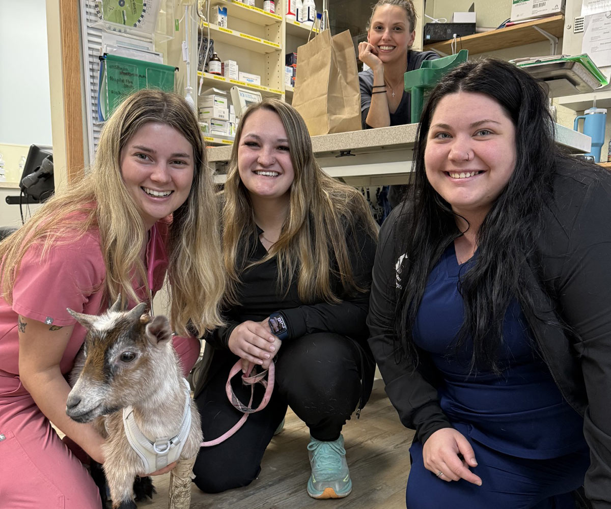aboutus-dayhollowanimalhospital veterinary team members smiling and posing with a goat at the clinic